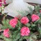 200-Pack: Hot Pink Carnation Picks, 5" Stems, 3.5" Wide, Floral Home by Artificial Flowers